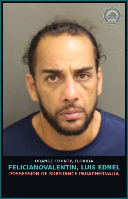 CCW arrest card for FELICIANOVALENTIN, LUIS EDNEL in Orange County: TAMPERING WITH OR FABRICATING PHYSICAL EVIDENCE