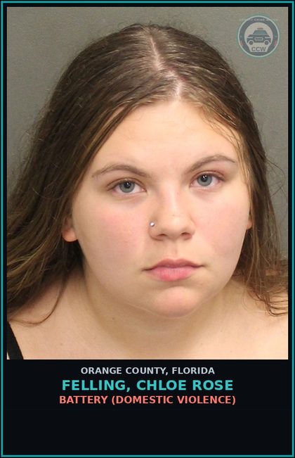 CCW arrest card for FELLING, CHLOE ROSE in Orange County: BATTERY (DOMESTIC VIOLENCE)