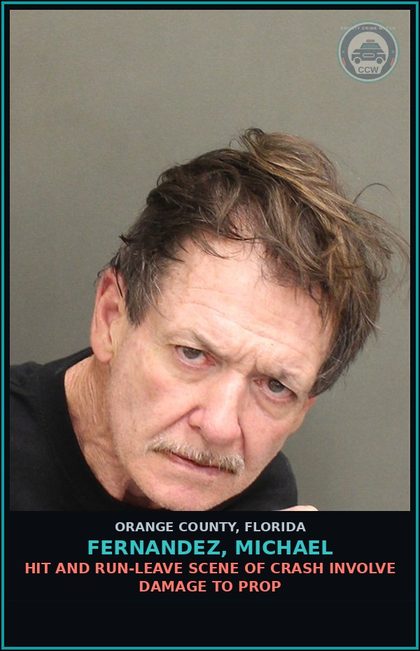 CCW arrest card for FERNANDEZ, MICHAEL in Orange County: HIT AND RUN-LEAVE SCENE OF CRASH INVOLVE DAMAGE TO PROP
