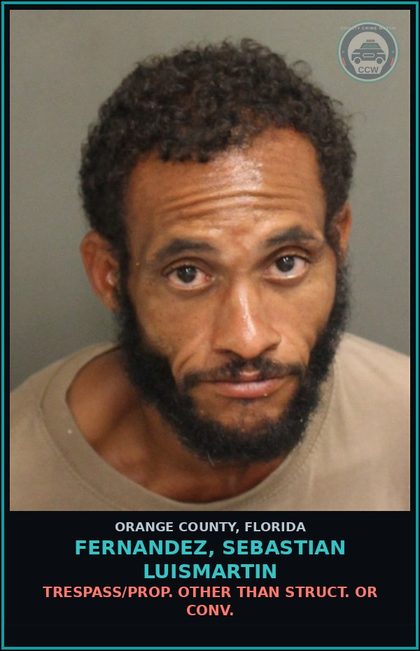 CCW arrest card for FERNANDEZ, SEBASTIAN LUISMARTIN in Orange County: TRESPASS/PROP. OTHER THAN STRUCT. OR CONV.