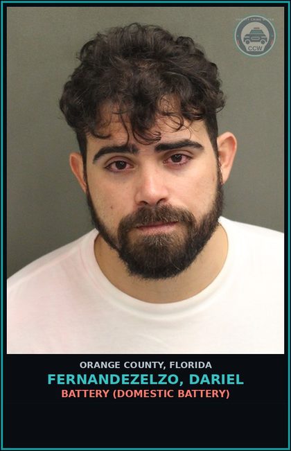 CCW arrest card for FERNANDEZELZO, DARIEL in Orange County: BATTERY (DOMESTIC BATTERY)