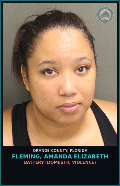 CCW arrest card for FLEMING, AMANDA ELIZABETH in Orange County: BATTERY (DOMESTIC VIOLENCE)