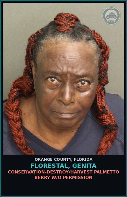 CCW arrest card for FLORESTAL, GENITA in Orange County: CONSERVATION-DESTROY/HARVEST PALMETTO BERRY W/O PERMISSION