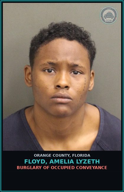 CCW arrest card for FLOYD, AMELIA LYZETH in Orange County: BATTERY ON LAW ENFORCEMENT OFFICER