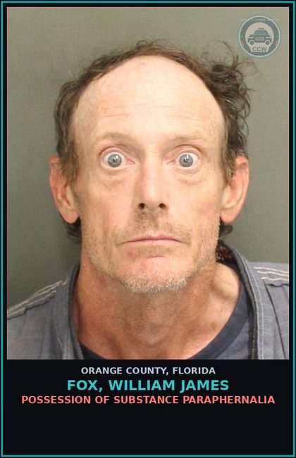 CCW arrest card for FOX, WILLIAM JAMES in Orange County: DRUGS-POSSESS-POSSESS contr substance W/O PRESCRIPTION