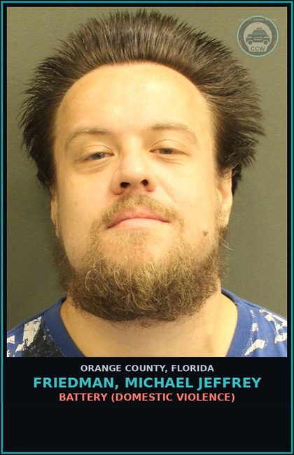 CCW arrest card for FRIEDMAN, MICHAEL JEFFREY in Orange County: BATTERY (DOMESTIC VIOLENCE)