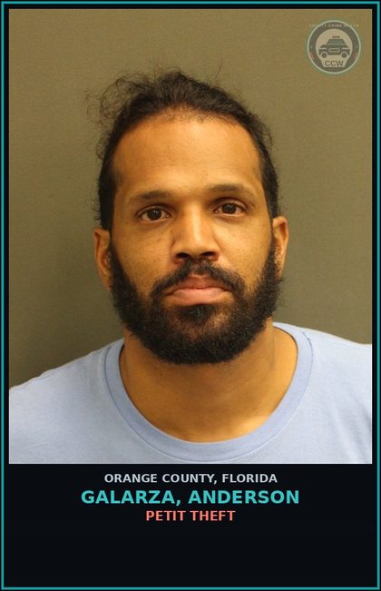 CCW arrest card for GALARZA, ANDERSON in Orange County: PETIT THEFT
