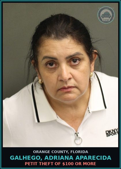 CCW arrest card for GALHEGO, ADRIANA APARECIDA in Orange County: PETIT THEFT OF $100 OR MORE