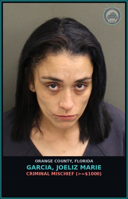 CCW arrest card for GARCIA, JOELIZ MARIE in Orange County: CRIMINAL MISCHIEF (>=$1000)