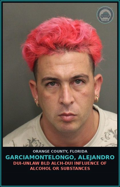 CCW arrest card for GARCIAMONTELONGO, ALEJANDRO in Orange County: DUI-UNLAW BLD ALCH-DUI INFLUENCE OF ALCOHOL OR DRUGS