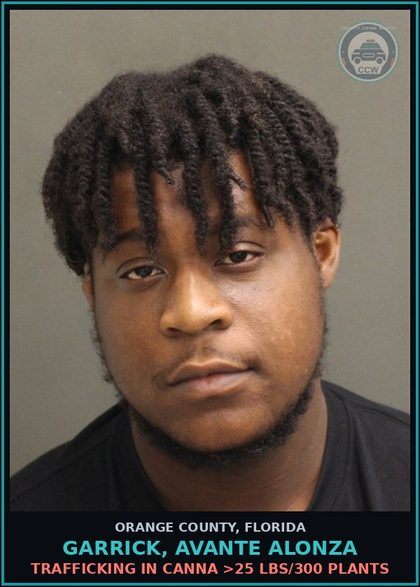 CCW arrest card for GARRICK, AVANTE ALONZA in Orange County: IMPORTATION OF Canna