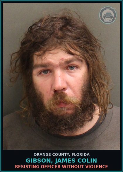 CCW arrest card for GIBSON, JAMES COLIN in Orange County: RESISTING OFFICER WITHOUT VIOLENCE
