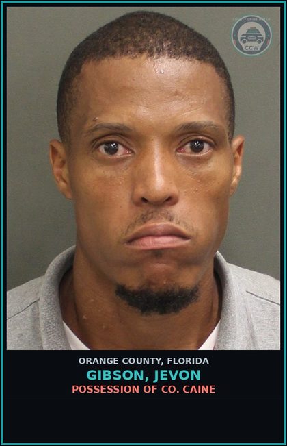 CCW arrest card for GIBSON, JEVON in Orange County: POSSESSION OF COCAINE