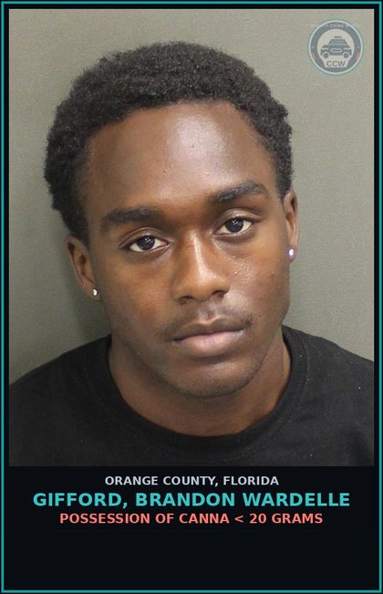 CCW arrest card for GIFFORD, BRANDON WARDELLE in Orange County: TRESPASS IN CONVEYANCE