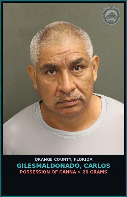 CCW arrest card for GILESMALDONADO, CARLOS in Orange County: MOVING TRAFFIC VIOL-OPERATE MOTOR VEHICLE W/O VALID LIC 1ST CONV