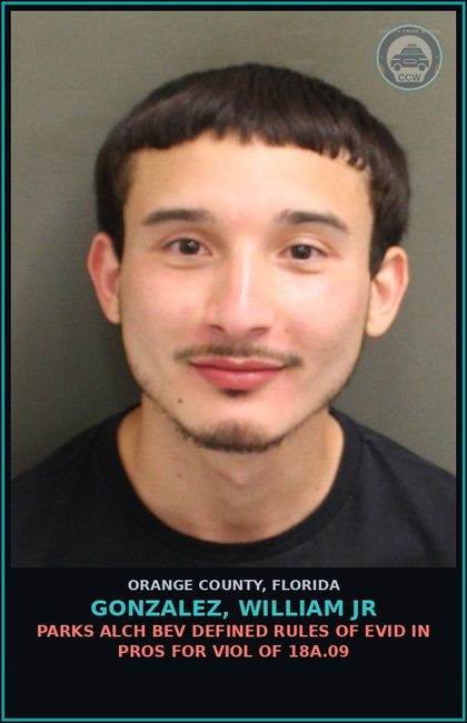 CCW arrest card for GONZALEZ, WILLIAM JR in Orange County: PARKS ALCH BEV DEFINED RULES OF EVID IN PROS FOR VIOL OF 18A.09