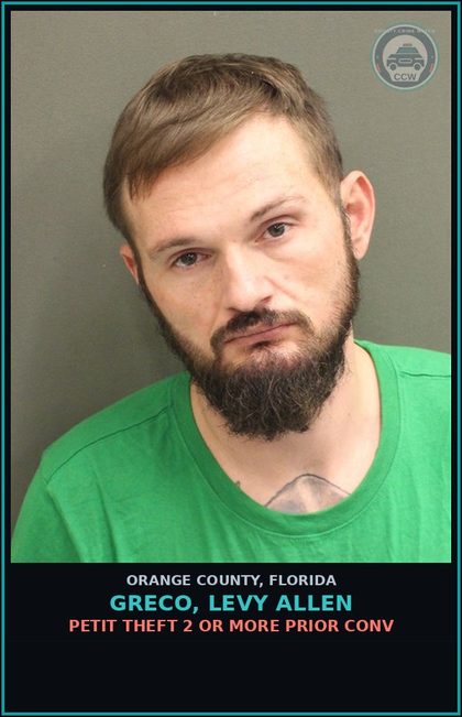 CCW arrest card for GRECO, LEVY ALLEN in Orange County: PETIT THEFT 2 OR MORE PRIOR CONV