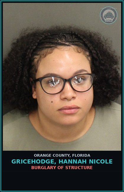 CCW arrest card for GRICEHODGE, HANNAH NICOLE in Orange County: GRAND THEFT 3RD DEGREE (>750, <$5000)