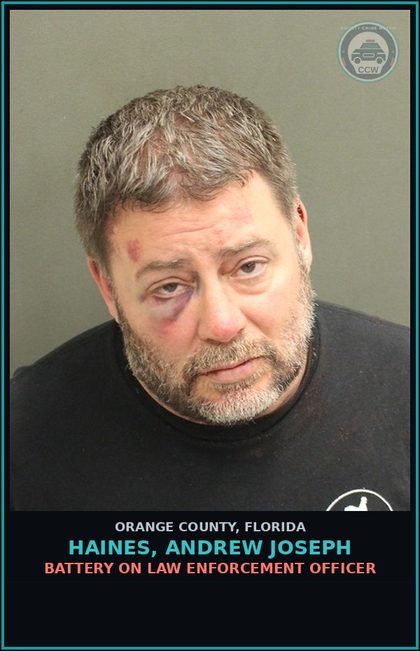 CCW arrest card for HAINES, ANDREW JOSEPH in Orange County: BATTERY ON LAW ENFORCEMENT OFFICER