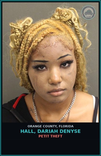 CCW arrest card for HALL, DARIAH DENYSE in Orange County: PETIT THEFT