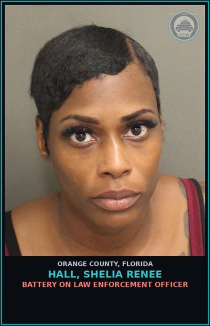 CCW arrest card for HALL, SHELIA RENEE in Orange County: BATTERY ON LAW ENFORCEMENT OFFICER