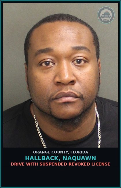 CCW arrest card for HALLBACK, NAQUAWN in Orange County: DRIVE WITH SUSPENDED REVOKED LICENSE