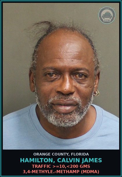 CCW arrest card for HAMILTON, CALVIN JAMES in Orange County: TRAFFIC >=10,<200 GMS 3,4-METHYLE.-METH (MDMA)