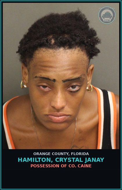 CCW arrest card for HAMILTON, CRYSTAL JANAY in Orange County: POSSESSION OF COCAINE