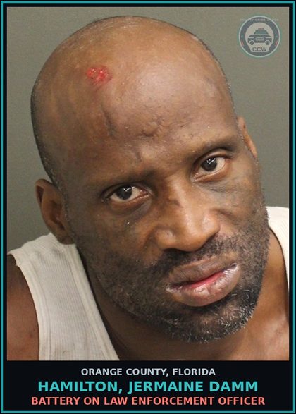 CCW arrest card for HAMILTON, JERMAINE DAMM in Orange County: BATTERY ON LAW ENFORCEMENT OFFICER