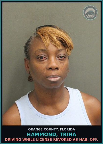 CCW arrest card for HAMMOND, TRINA in Orange County: DRIVING WHILE LICENSE REVOKED AS HAB. OFF.