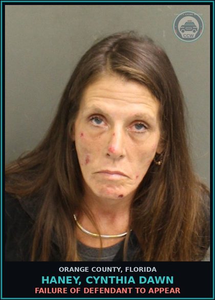 CCW arrest card for HANEY, CYNTHIA DAWN in Orange County: FAILURE OF DEFENDANT TO APPEAR