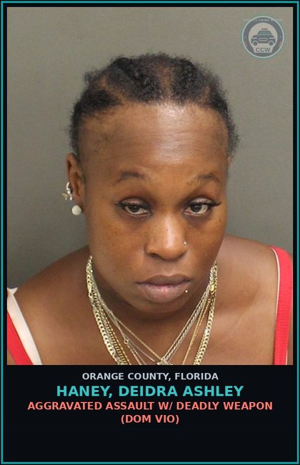 CCW arrest card for HANEY, DEIDRA ASHLEY in Orange County: AGG. BATTERY (GREAT BODILY HARM) DOM. VIO.