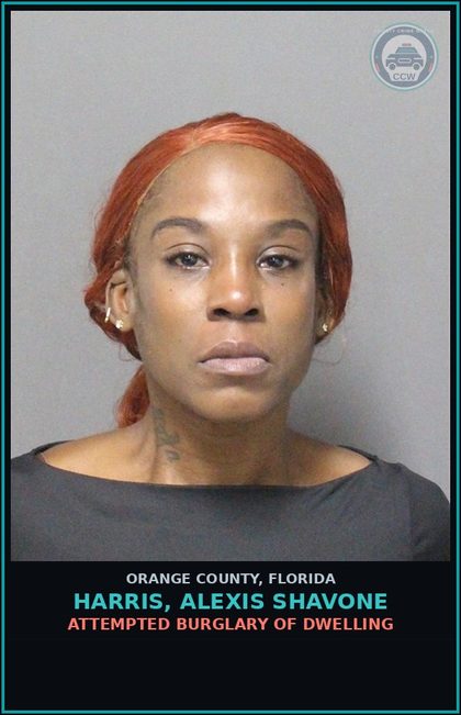 CCW arrest card for HARRIS, ALEXIS SHAVONE in Orange County: PETIT THEFT OF $100 OR MORE