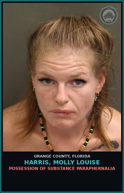CCW arrest card for HARRIS, MOLLY LOUISE in Orange County: POSSESSION OF DRUG PARAPHERNALIA