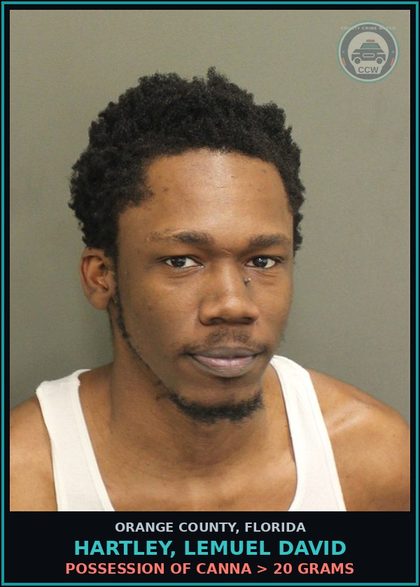CCW arrest card for HARTLEY, LEMUEL DAVID in Orange County: POSSESSION OF Canna > 20 GRAMS