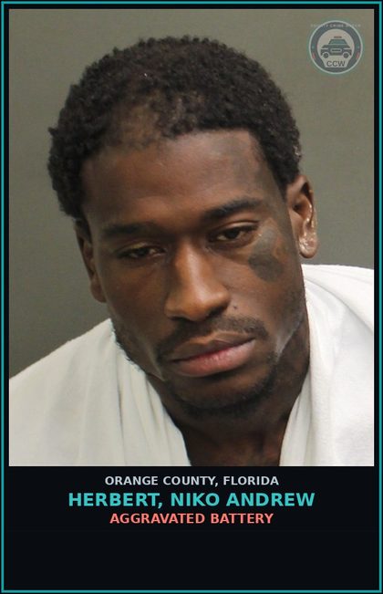 CCW arrest card for HERBERT, NIKO ANDREW in Orange County: BATTERY (DOMESTIC VIOLENCE)