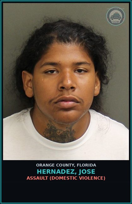 CCW arrest card for HERNADEZ, JOSE in Orange County: ASSAULT (DOMESTIC VIOLENCE)