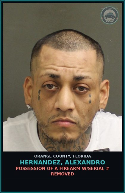 CCW arrest card for HERNANDEZ, ALEXANDRO in Orange County: POSSESSION OF A FIREARM W/SERIAL # REMOVED