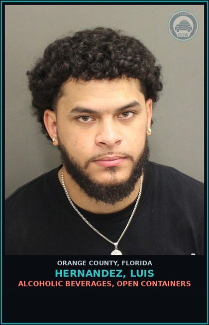 CCW arrest card for HERNANDEZ, LUIS in Orange County: ALCOHOLIC BEVERAGES, OPEN CONTAINERS