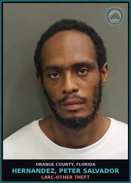 CCW arrest card for HERNANDEZ, PETER SALVADOR in Orange County: LARC-OTHER THEFT