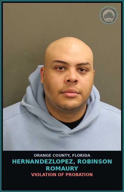 CCW arrest card for HERNANDEZLOPEZ, ROBINSON ROMAURY in Orange County: VIOLATION OF PROBATION