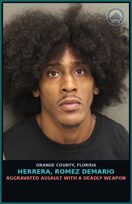 CCW arrest card for HERRERA, ROMEZ DEMARIO in Orange County: AGG. BATTERY (GREAT BODILY HARM) W/WEAPON