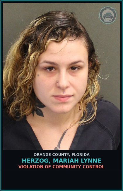 CCW arrest card for HERZOG, MARIAH LYNNE in Orange County: VIOLATION OF COMMUNITY CONTROL