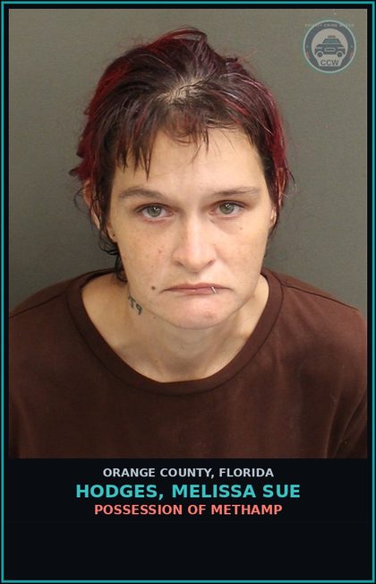 CCW arrest card for HODGES, MELISSA SUE in Orange County: TRESPASS/PROP. OTHER THAN STRUCT. OR CONV.