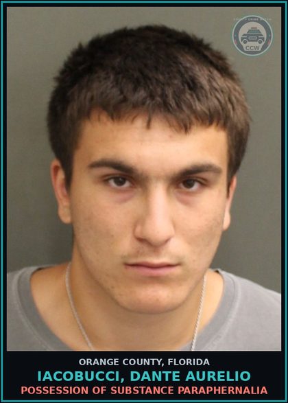 CCW arrest card for IACOBUCCI, DANTE AURELIO in Orange County: POSSESSION OF DRUG PARAPHERNALIA