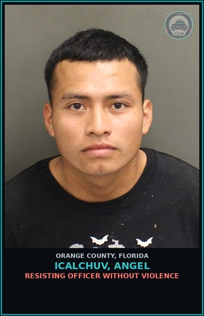 CCW arrest card for ICALCHUV, ANGEL in Orange County: RESISTING OFFICER WITHOUT VIOLENCE
