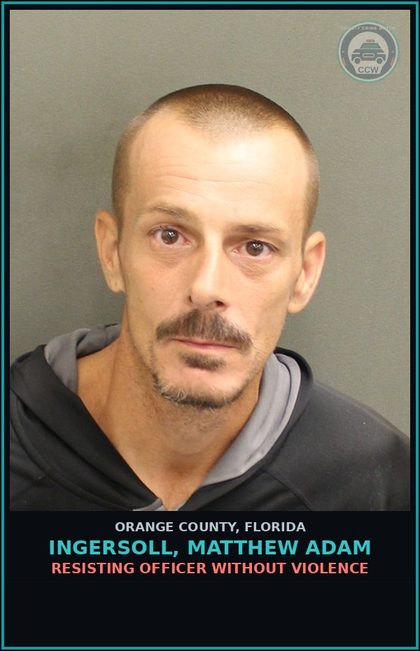 CCW arrest card for INGERSOLL, MATTHEW ADAM in Orange County: TAMPERING WITH OR FABRICATING PHYSICAL EVIDENCE