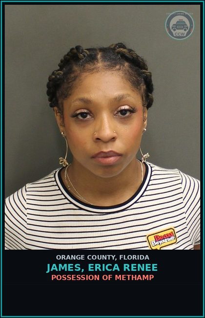 CCW arrest card for JAMES, ERICA RENEE in Orange County: POSSESSION OF Methamp
