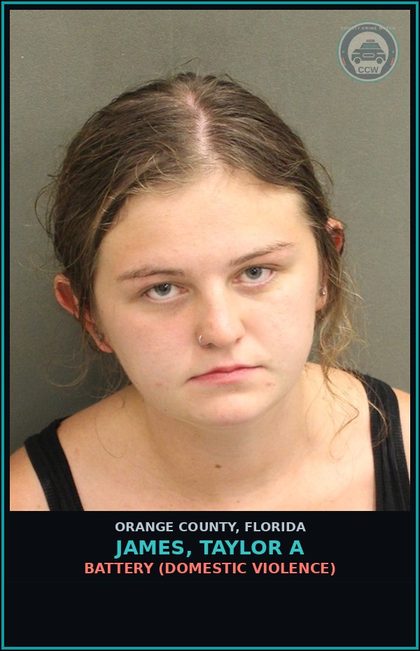 CCW arrest card for JAMES, TAYLOR A in Orange County: BATTERY (DOMESTIC VIOLENCE)