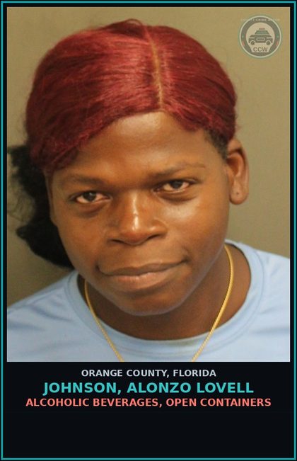 CCW arrest card for JOHNSON, ALONZO LOVELL in Orange County: ALCOHOLIC BEVERAGES, OPEN CONTAINERS
